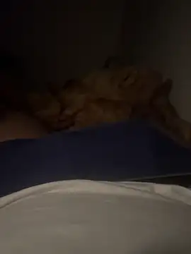 Night outcam online show from 12/21/25, 07:48