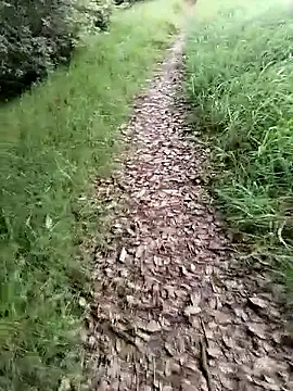 ZarayNero online show from 02/20/26, 09:50