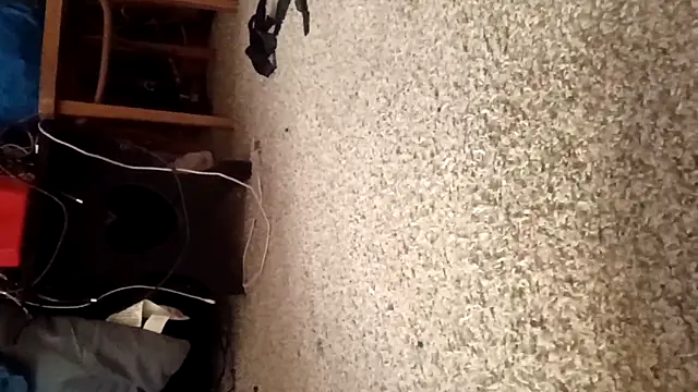 Justis88 online show from 12/16/25, 01:04