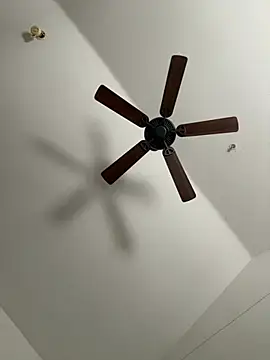 faces818 online show from 03/21/26, 05:17