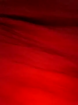 Maya Big55A online show from 04/03/26, 07:53