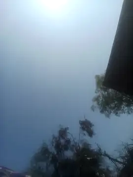 Snapshot of Pinki_rajak chatting on 02/10/26, 06:23 Pinki rajak online show from 02/10/26, 06:23