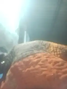 Snapshot of Pinki_rajak chatting on 01/11/26, 07:10 Pinki rajak online show from 01/11/26, 07:10