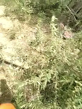 mohit08desi online show from 05/25/26, 06:12