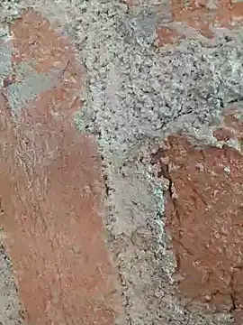 Snapshot of Soniya5533 chatting on 12/14/25, 09:04 Soniya5533 online show from 12/14/25, 09:04