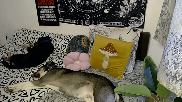 AlienforTwenty online show from 02/26/26, 08:58