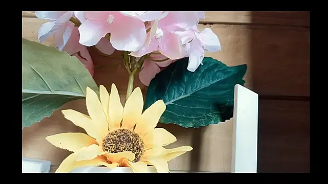 vickvalencia2 online show from 05/07/26, 01:03