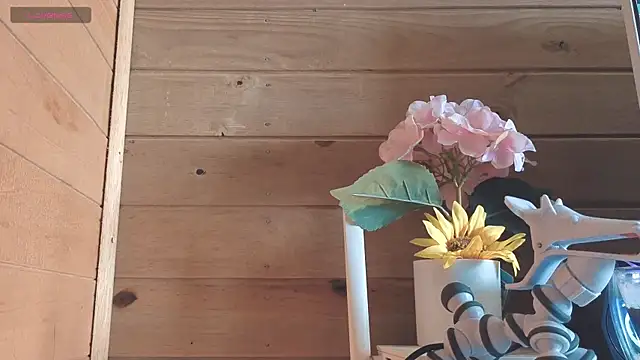 vickvalencia2 online show from 05/27/26, 02:13