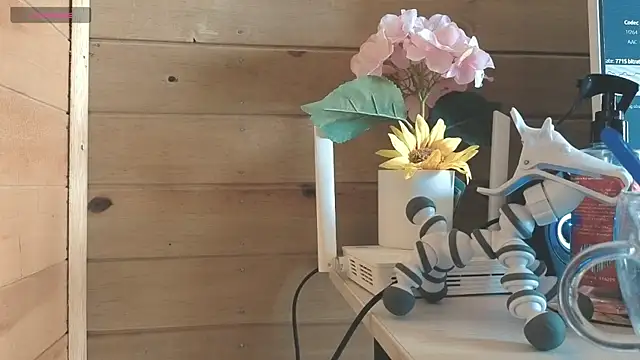 vickvalencia2 online show from 05/26/26, 02:04