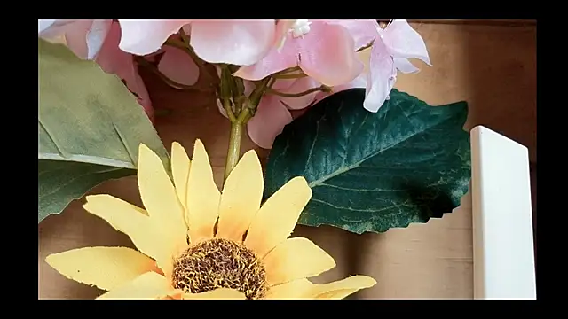 vickvalencia2 online show from 05/04/26, 01:47