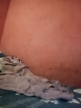 THErealHeat online show from 02/18/26, 05:38