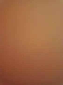 Punam sekhavat online show from 12/17/25, 08:58