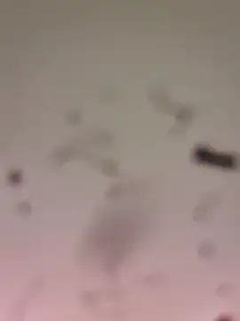 M8ygcthf3 online show from 03/22/26, 06:48