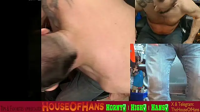 Snapshot of HouseOfHans chatting on 02/19/26, 01:46 HouseOfHans online show from 02/19/26, 01:46