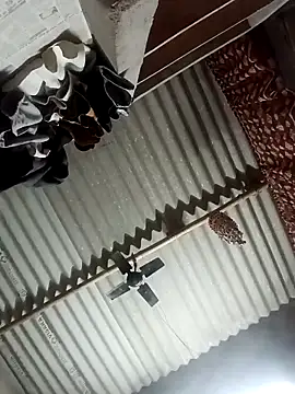 Shreya pandit online show from 03/23/26, 10:31