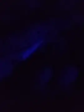 teyero23 online show from 05/15/26, 06:33