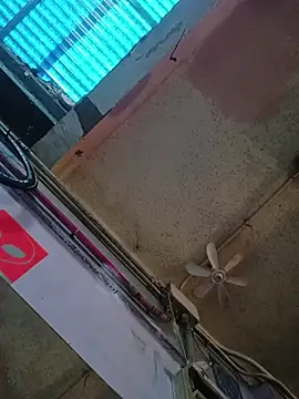 SnappedHagfish online show from 04/02/26, 09:16