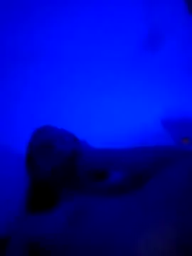 vladopen online show from 01/07/26, 05:23