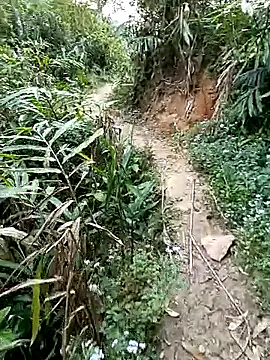 seacyre online show from 04/11/26, 12:29