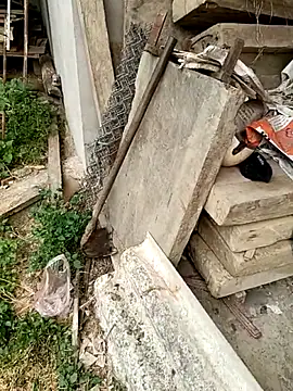 seacyre online show from 04/15/26, 12:38