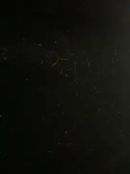 mengmeng776 online show from 02/10/26, 04:17