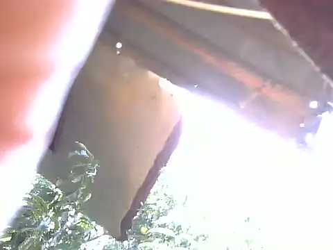 Snapshot of LadyPanda chatting on 02/03/26, 11:04 LadyPanda online show from 02/03/26, 11:04