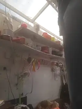 Snapshot of Almeyjose chatting on 12/15/25, 05:52 Almeyjose online show from 12/15/25, 05:52