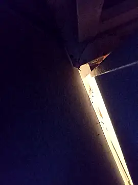 damslebambou1 online show from 01/14/26, 01:09