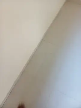 punecouplegroup online show from 04/15/26, 03:12