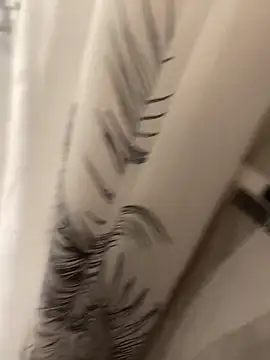 Miguel 667 online show from 04/15/26, 08:20