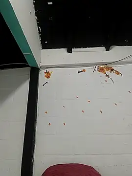 sk8-boy online show from 03/21/26, 01:48