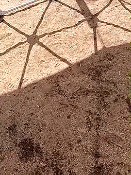 LaicyBrown76 online show from 03/07/26, 08:32