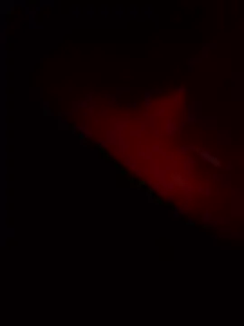 vishalk12346 online show from 01/08/26, 05:41