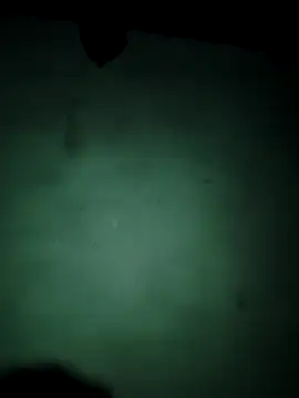 vishalk12346 online show from 01/13/26, 06:01