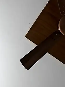 Snapshot of Telugumistress chatting on 02/26/26, 07:41 Telugumistress online show from 02/26/26, 07:41