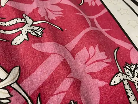 delhi real bull online show from 12/17/25, 04:23