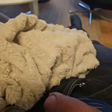 Puntadelteno online show from 01/05/26, 08:01