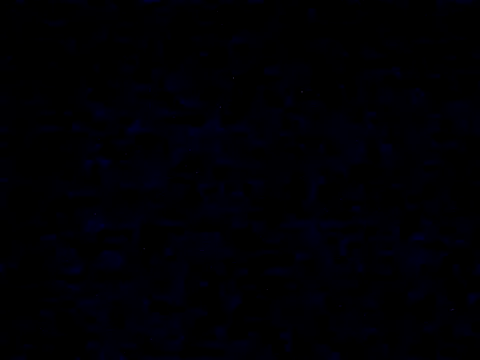 danylush online show from 12/20/25, 12:30