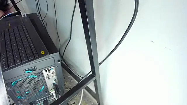 Dante Bellini online show from 01/09/26, 01:18