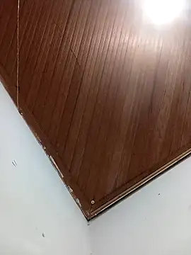 Snapshot of petersolito chatting on 12/19/25, 12:25 petersolito online show from 12/19/25, 12:25