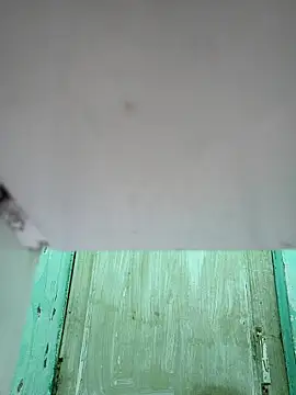 novio-de-la-tarde online show from 02/12/26, 11:37