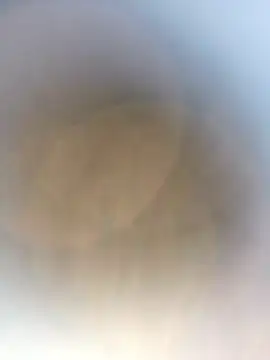 novio-de-la-tarde online show from 04/24/26, 12:56
