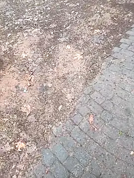 musa27272 online show from 02/01/26, 05:27