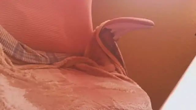 Snapshot of Michaelo666 chatting on 02/11/26, 11:21 Michaelo666 online show from 02/11/26, 11:21