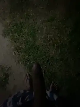 GuioficialBr online show from 12/21/25, 04:47