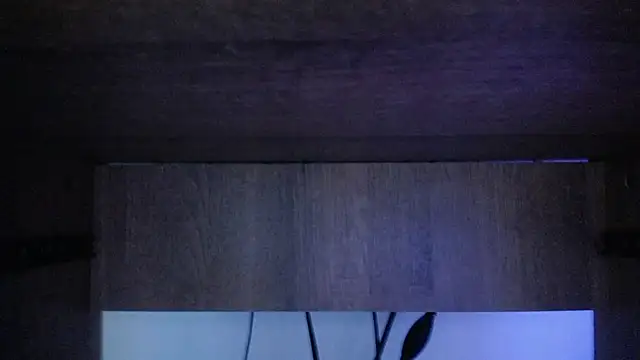 Snapshot of Candy_Melisaa chatting on 12/20/25, 12:46 Candy Melisaa online show from 12/20/25, 12:46