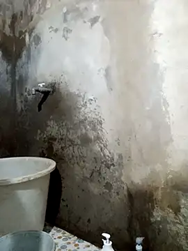 yula-bi online show from 03/30/26, 11:11