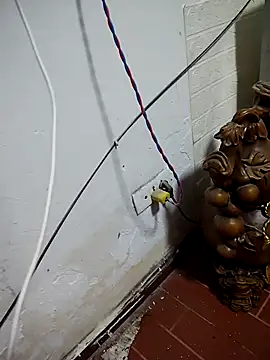 Snapshot of thobaby99 chatting on 01/09/26, 07:48 thobaby99 online show from 01/09/26, 07:48