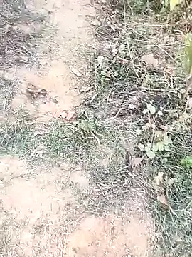 Sheela Sex90 online show from 04/15/26, 11:59