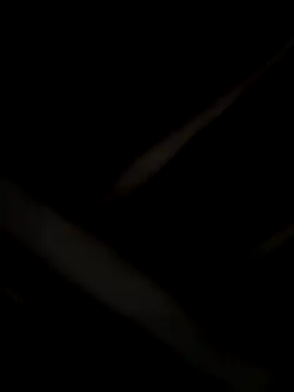 laramacedo2026 online show from 01/08/26, 10:16